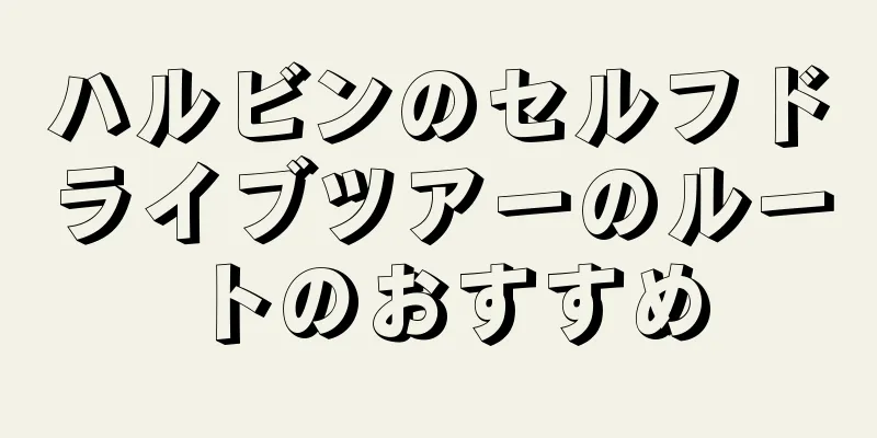 ハルビンのセルフドライブツアーのルートのおすすめ