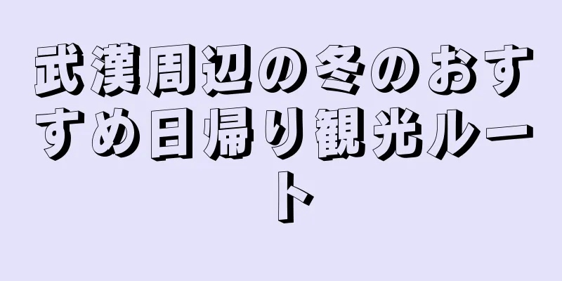 武漢周辺の冬のおすすめ日帰り観光ルート