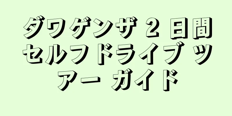 ダワゲンザ 2 日間セルフドライブ ツアー ガイド