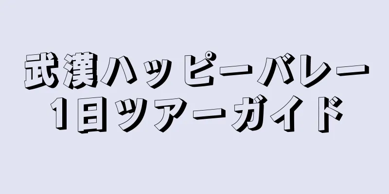 武漢ハッピーバレー1日ツアーガイド