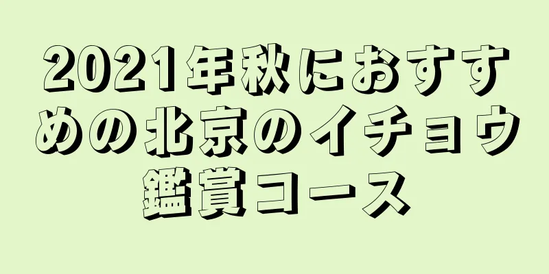 2021年秋におすすめの北京のイチョウ鑑賞コース