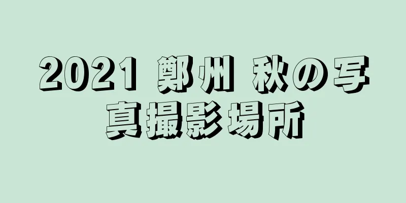 2021 鄭州 秋の写真撮影場所