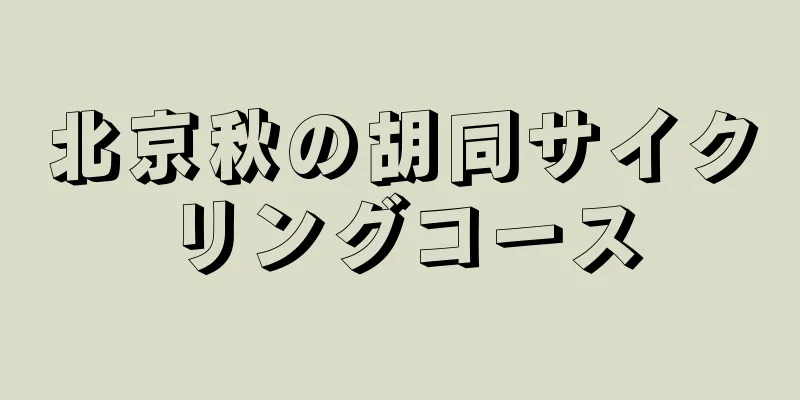 北京秋の胡同サイクリングコース