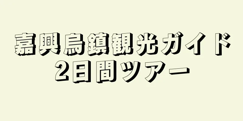 嘉興烏鎮観光ガイド2日間ツアー