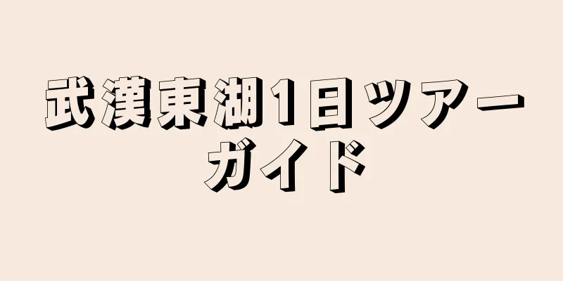 武漢東湖1日ツアーガイド