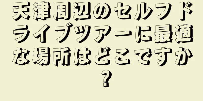天津周辺のセルフドライブツアーに最適な場所はどこですか？