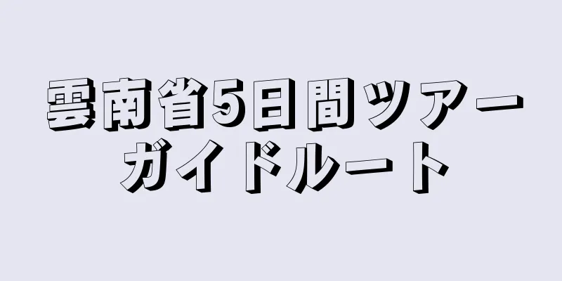 雲南省5日間ツアーガイドルート