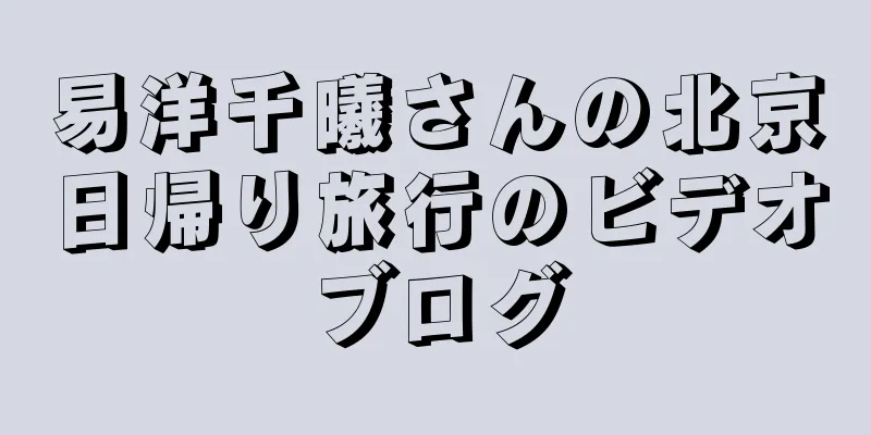 易洋千曦さんの北京日帰り旅行のビデオブログ