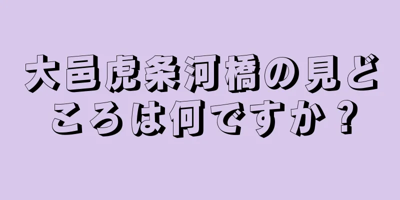 大邑虎条河橋の見どころは何ですか？