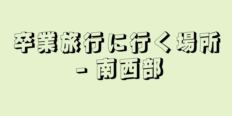 卒業旅行に行く場所 - 南西部