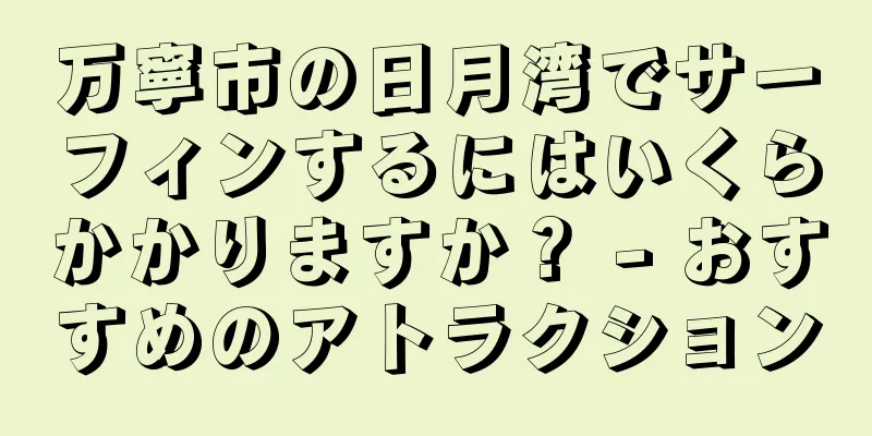 万寧市の日月湾でサーフィンするにはいくらかかりますか？ - おすすめのアトラクション
