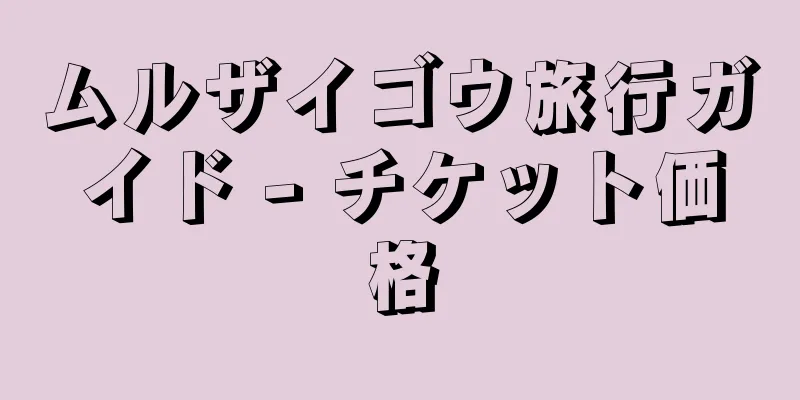 ムルザイゴウ旅行ガイド - チケット価格