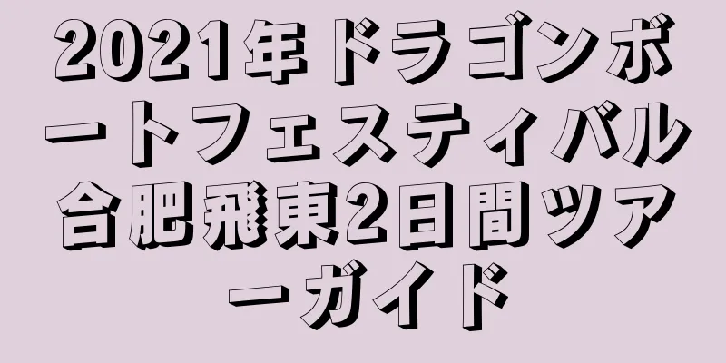 2021年ドラゴンボートフェスティバル合肥飛東2日間ツアーガイド