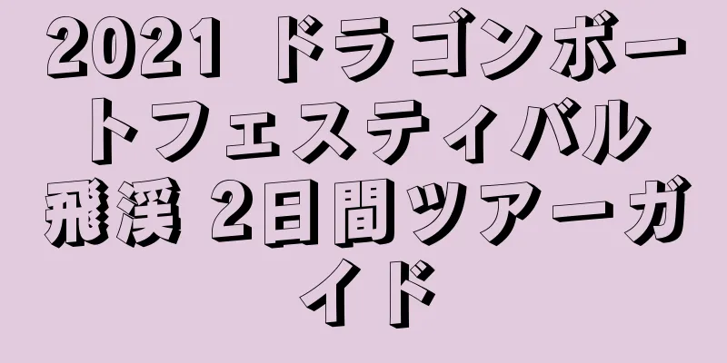 2021 ドラゴンボートフェスティバル 飛渓 2日間ツアーガイド