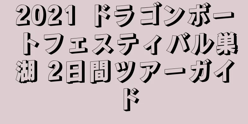 2021 ドラゴンボートフェスティバル巣湖 2日間ツアーガイド
