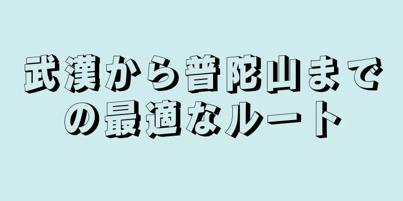 武漢から普陀山までの最適なルート