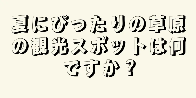 夏にぴったりの草原の観光スポットは何ですか？