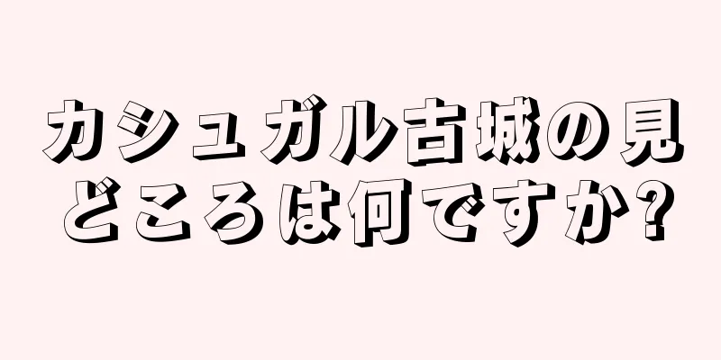 カシュガル古城の見どころは何ですか?