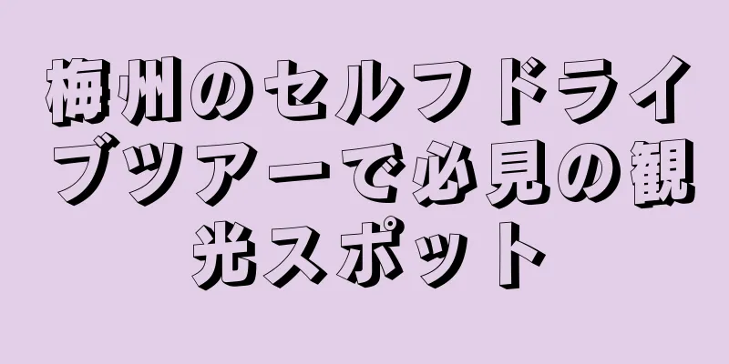 梅州のセルフドライブツアーで必見の観光スポット