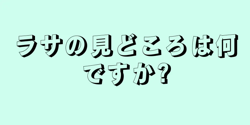 ラサの見どころは何ですか?
