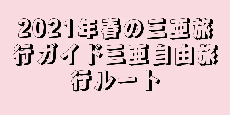 2021年春の三亜旅行ガイド三亜自由旅行ルート