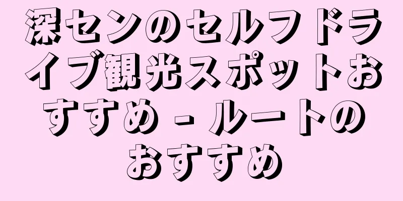 深センのセルフドライブ観光スポットおすすめ - ルートのおすすめ
