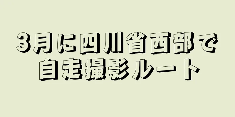 3月に四川省西部で自走撮影ルート