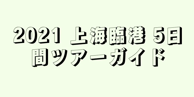 2021 上海臨港 5日間ツアーガイド