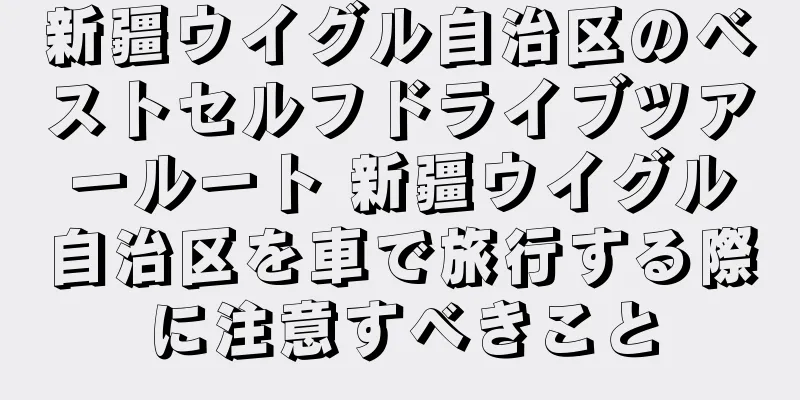 新疆ウイグル自治区のベストセルフドライブツアールート 新疆ウイグル自治区を車で旅行する際に注意すべきこと