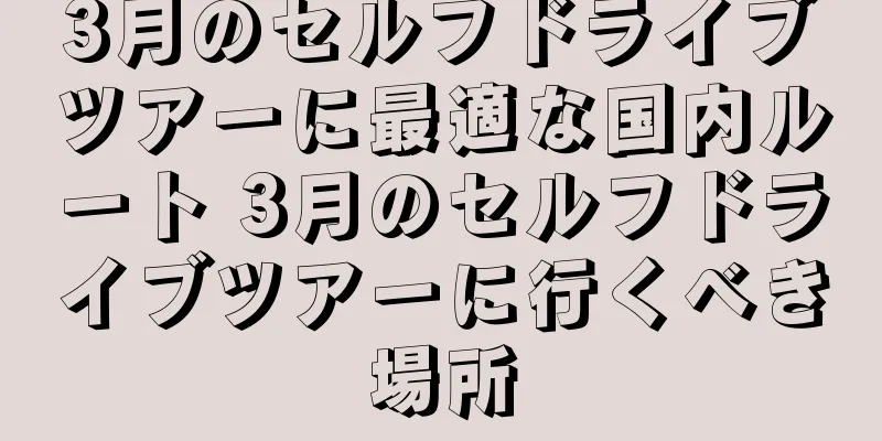 3月のセルフドライブツアーに最適な国内ルート 3月のセルフドライブツアーに行くべき場所