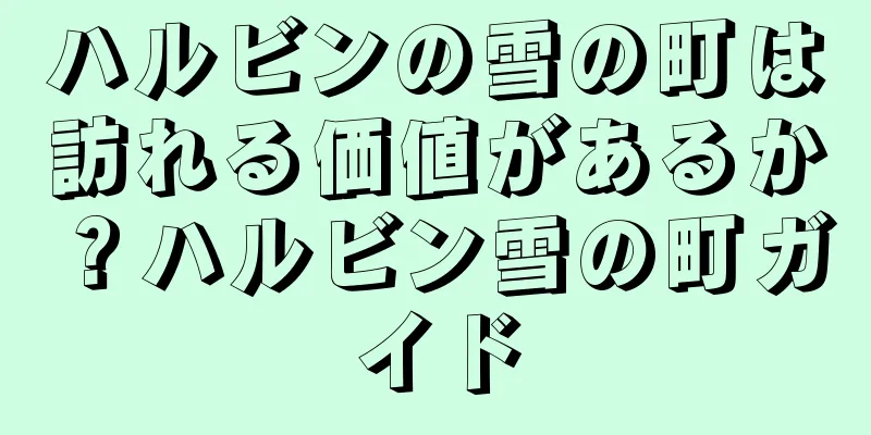 ハルビンの雪の町は訪れる価値があるか？ハルビン雪の町ガイド