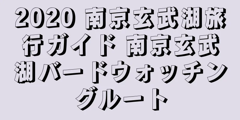 2020 南京玄武湖旅行ガイド 南京玄武湖バードウォッチングルート