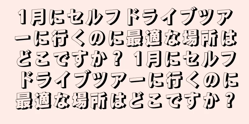 1月にセルフドライブツアーに行くのに最適な場所はどこですか？ 1月にセルフドライブツアーに行くのに最適な場所はどこですか？