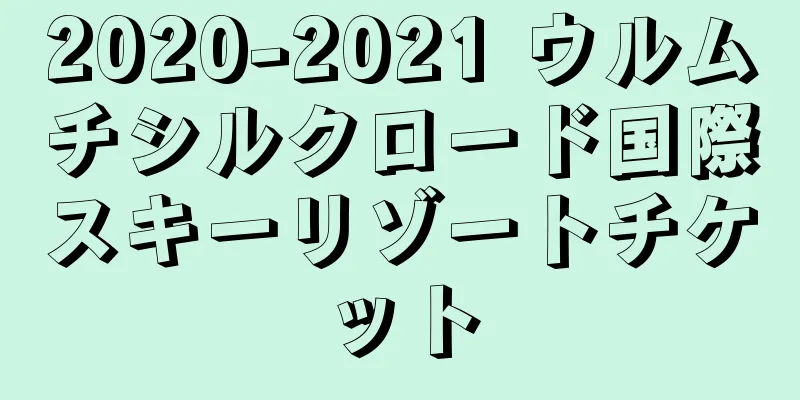 2020-2021 ウルムチシルクロード国際スキーリゾートチケット