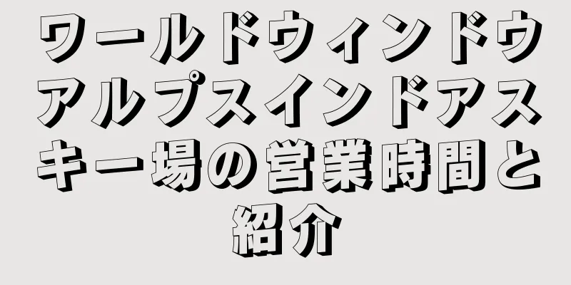 ワールドウィンドウアルプスインドアスキー場の営業時間と紹介