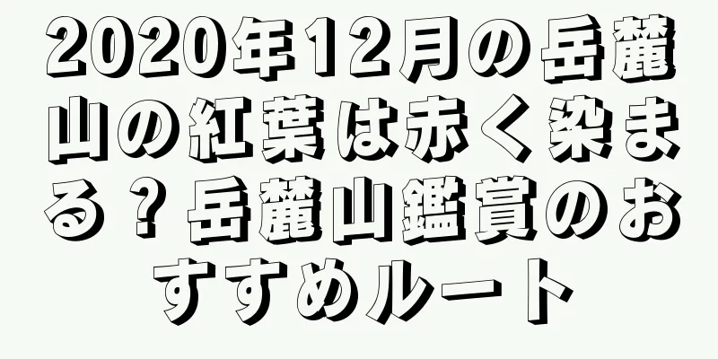 2020年12月の岳麓山の紅葉は赤く染まる？岳麓山鑑賞のおすすめルート