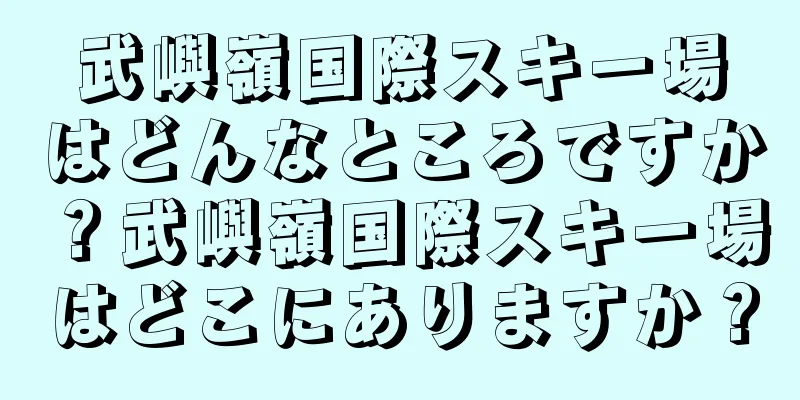 武嶼嶺国際スキー場はどんなところですか？武嶼嶺国際スキー場はどこにありますか？