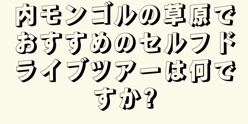 内モンゴルの草原でおすすめのセルフドライブツアーは何ですか?