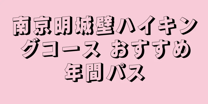 南京明城壁ハイキングコース おすすめ年間パス