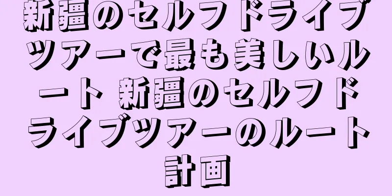 新疆のセルフドライブツアーで最も美しいルート 新疆のセルフドライブツアーのルート計画