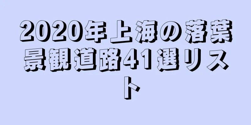2020年上海の落葉景観道路41選リスト
