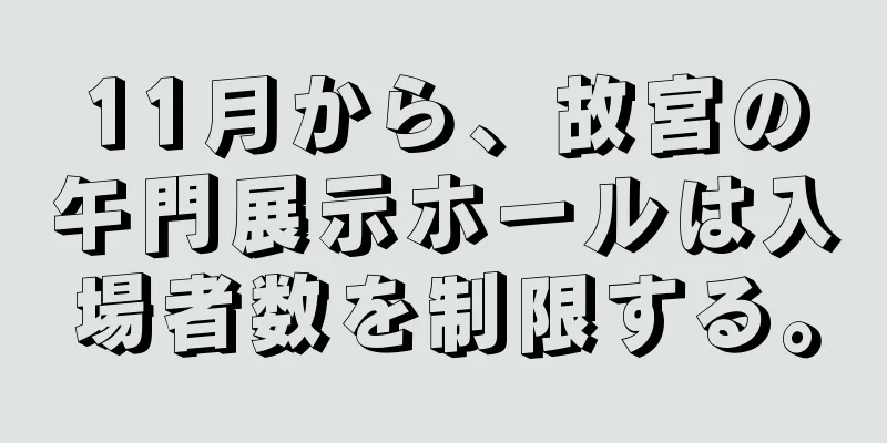 11月から、故宮の午門展示ホールは入場者数を制限する。