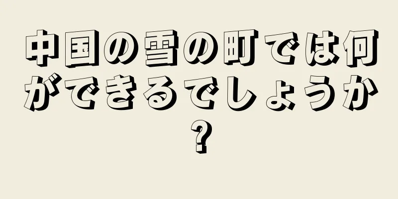 中国の雪の町では何ができるでしょうか?