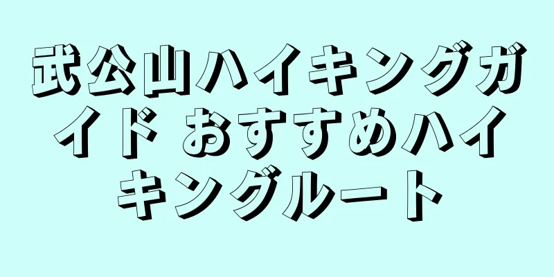 武公山ハイキングガイド おすすめハイキングルート