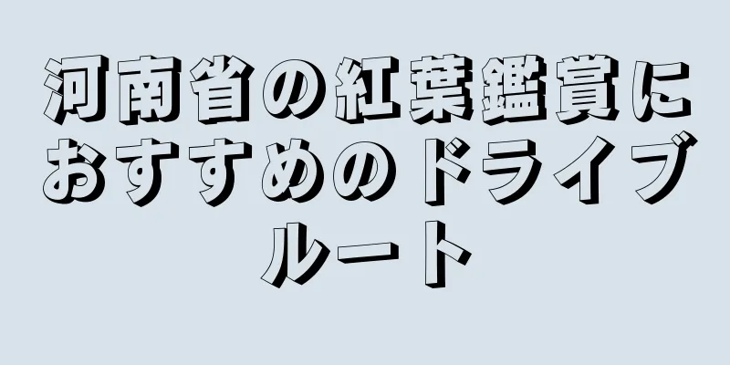 河南省の紅葉鑑賞におすすめのドライブルート