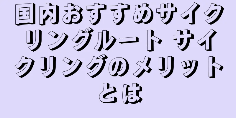 国内おすすめサイクリングルート サイクリングのメリットとは
