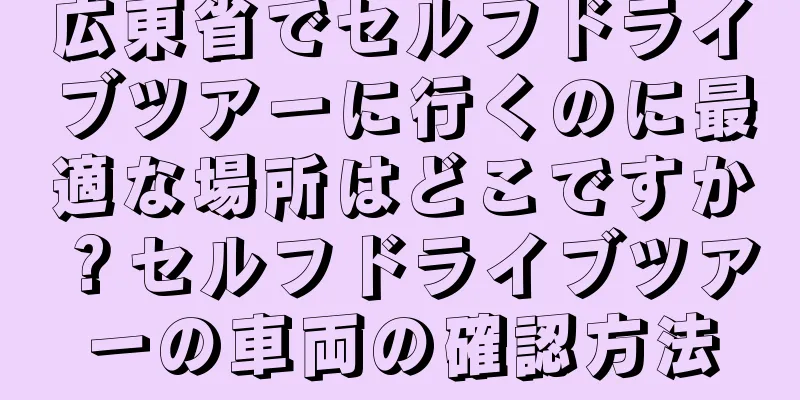広東省でセルフドライブツアーに行くのに最適な場所はどこですか？セルフドライブツアーの車両の確認方法
