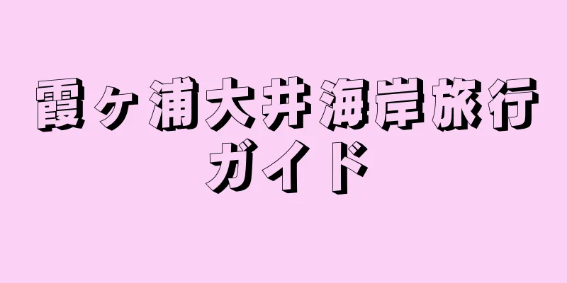 霞ヶ浦大井海岸旅行ガイド