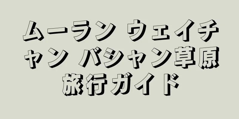 ムーラン ウェイチャン バシャン草原旅行ガイド