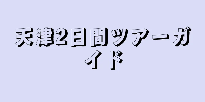 天津2日間ツアーガイド
